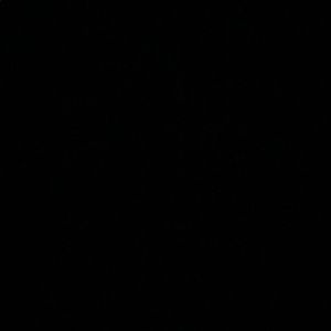 Meet your Posher, Landon